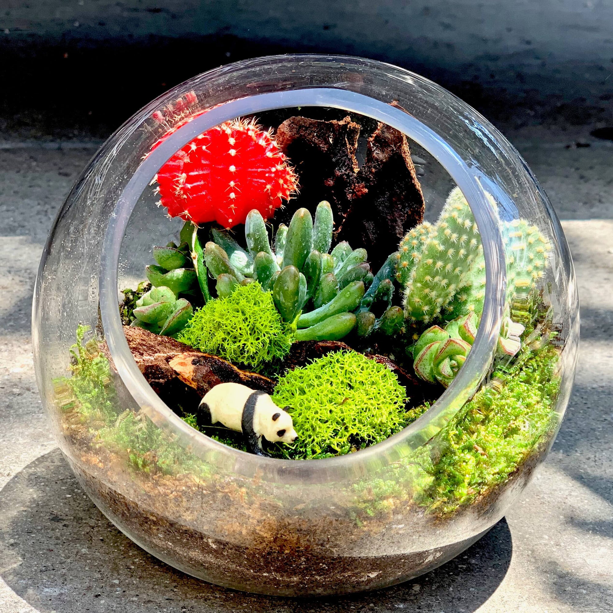 Baby Garden Sphere