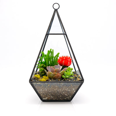 Geometric Terrarium