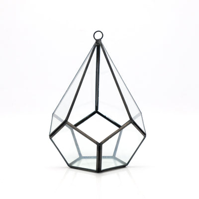 Geometric Terrarium