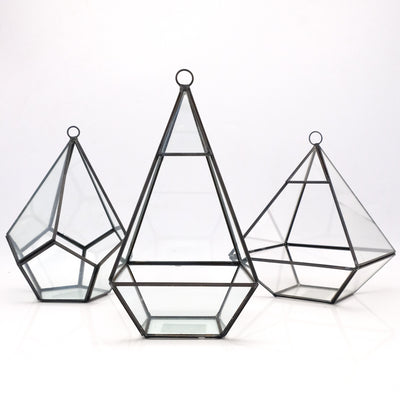 Geometric Terrarium