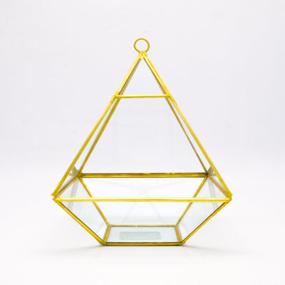 Geometric Terrarium