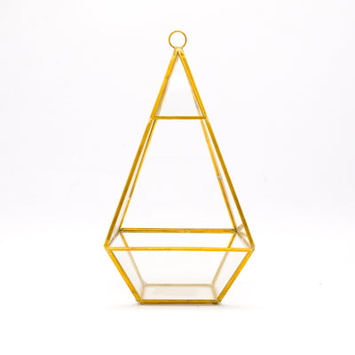 Geometric Terrarium