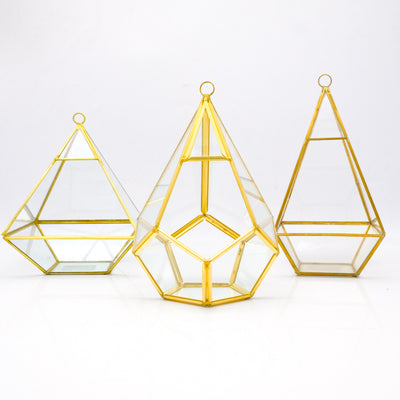 Geometric Terrarium