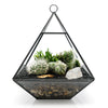 Geometric Terrarium