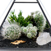 Geometric Terrarium