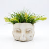 Tillandsia Stricta   ......Headplanter & Airplants