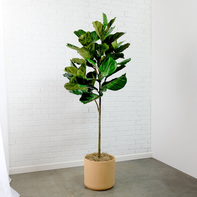 Potted Faux Ficus Lyrata