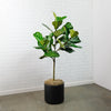 Potted Faux Ficus Lyrata