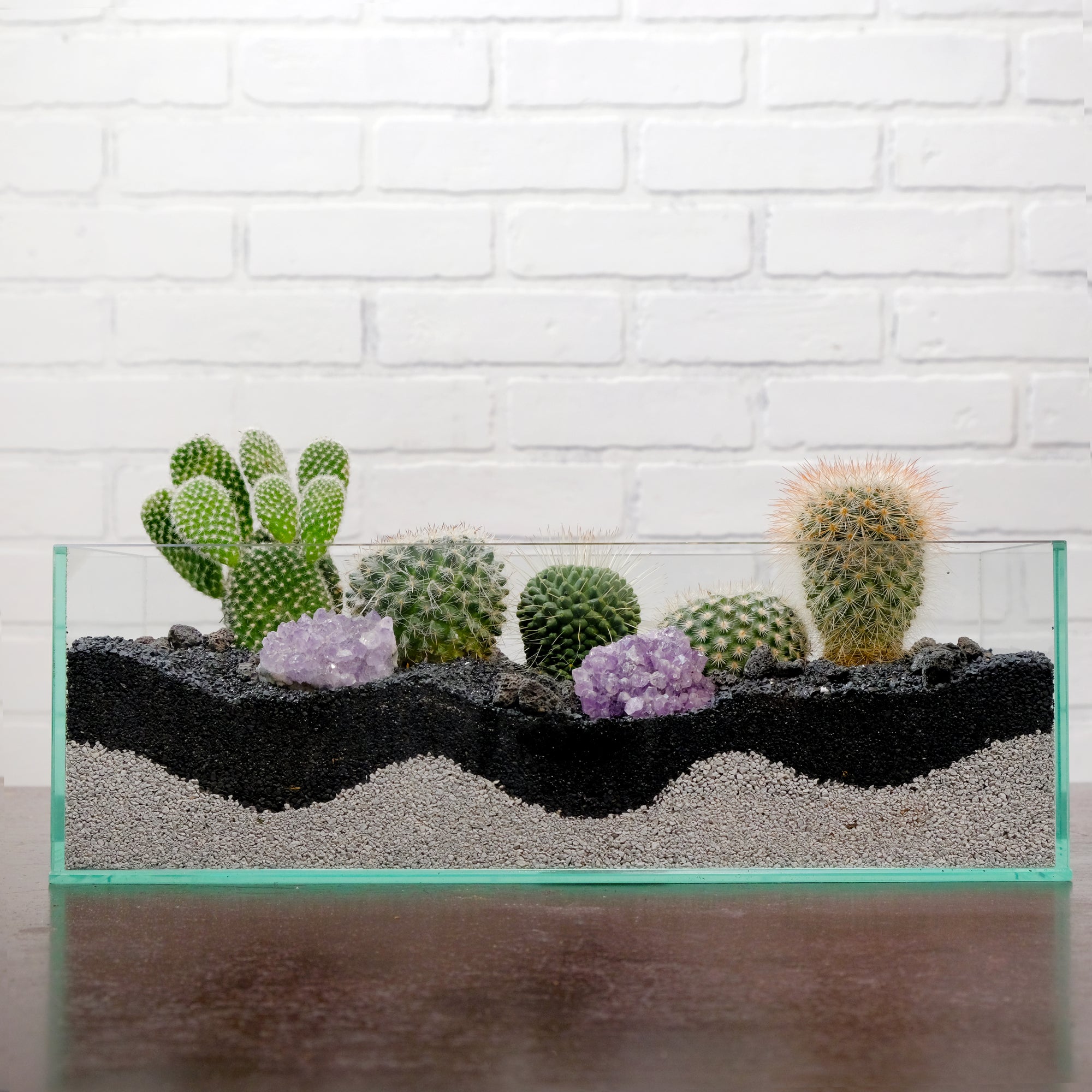 Long Terrarium