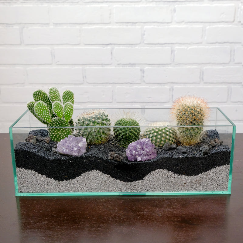 Long Terrarium